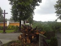wichura 3